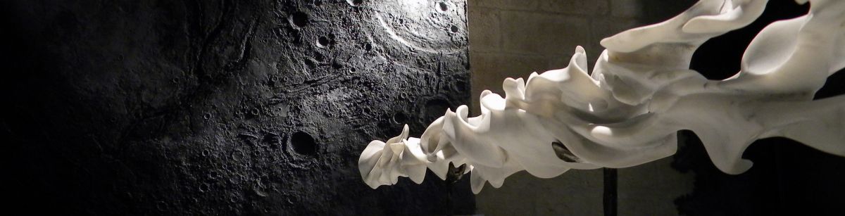 Luc Billières - payloin1, Ausstellung in der Galerie von Les Vivres de'l Art, Bordeaux